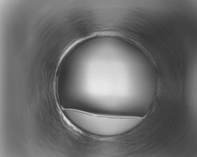 X0000086061484200703230934