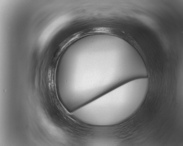 X0000086061487200703230934