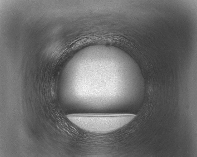 X0000086061490200703230933