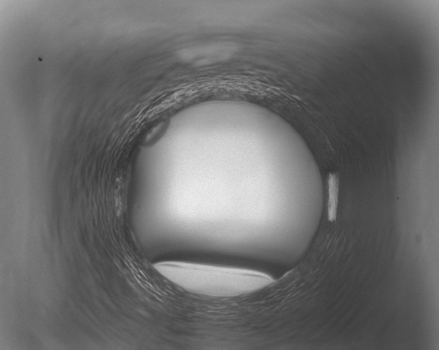 X0000086061491200703230933