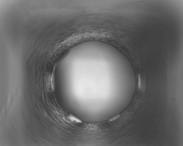 X0000086061492200703230933