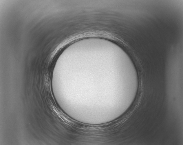 X0000086061498200703230933