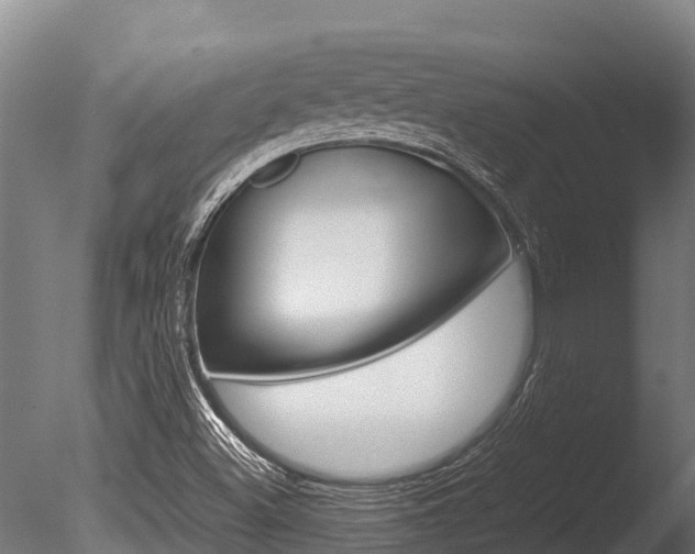 X0000086061500200703230933