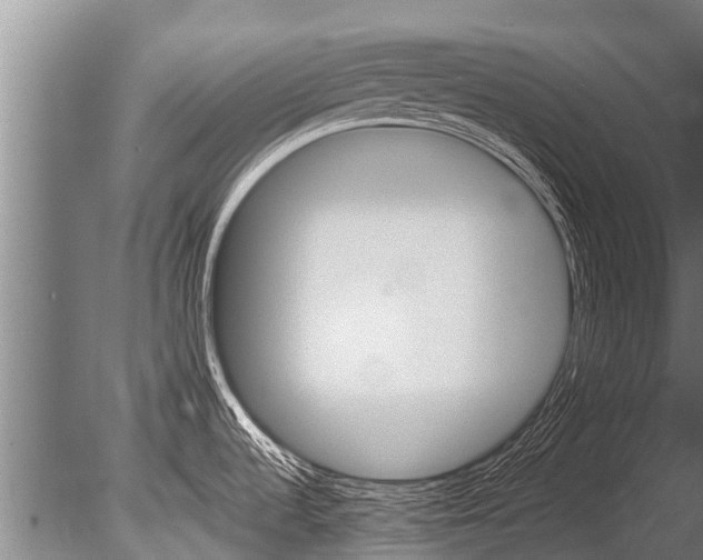 X0000086061536200703230934