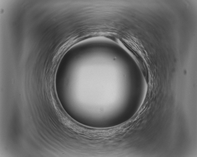 X0000086060001200703231254