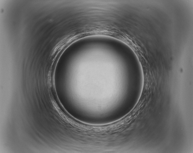 X0000086060002200703231254