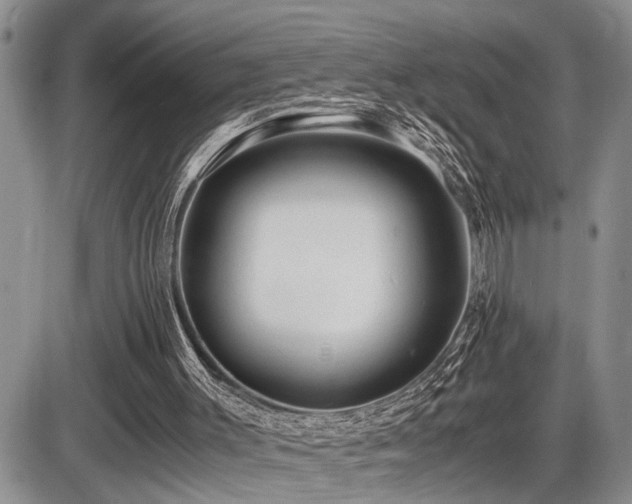 X0000086060003200703231253