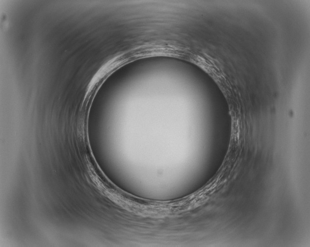 X0000086060004200703231253