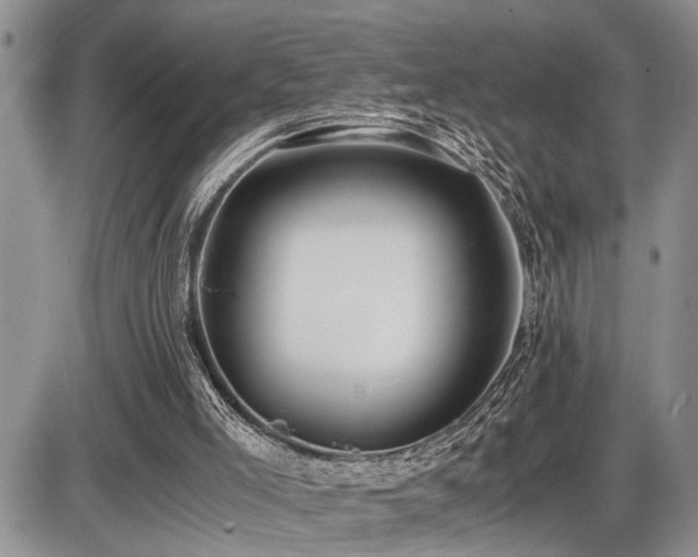 X0000086060005200703231253