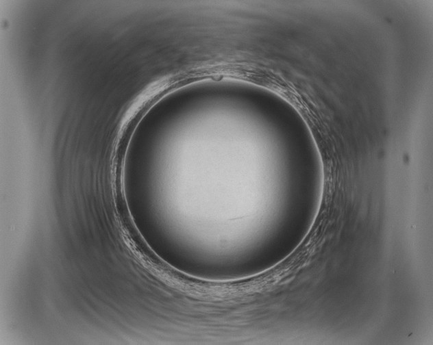 X0000086060006200703231253