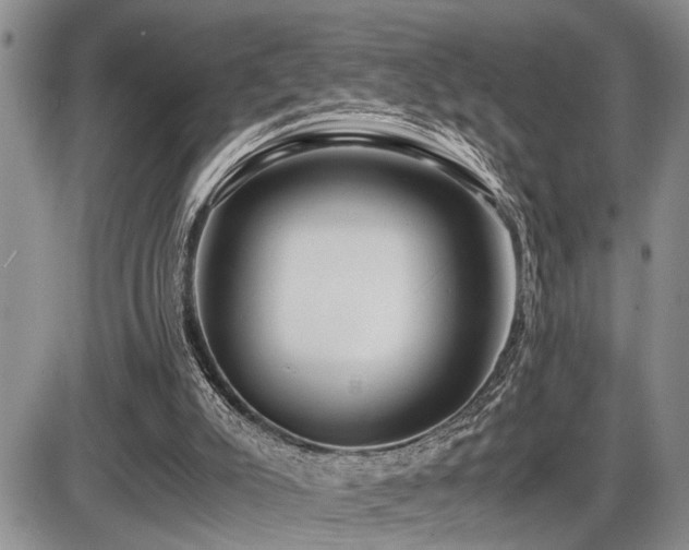 X0000086060007200703231253