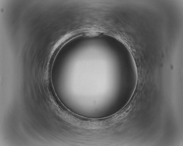 X0000086060008200703231253