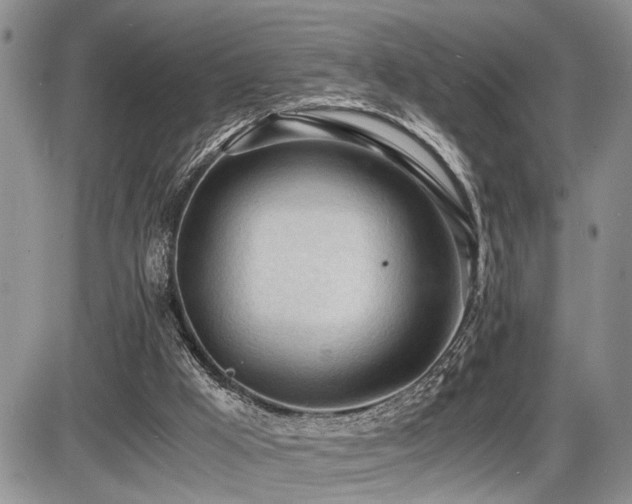 X0000086060009200703231253