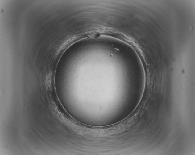 X0000086060010200703231253