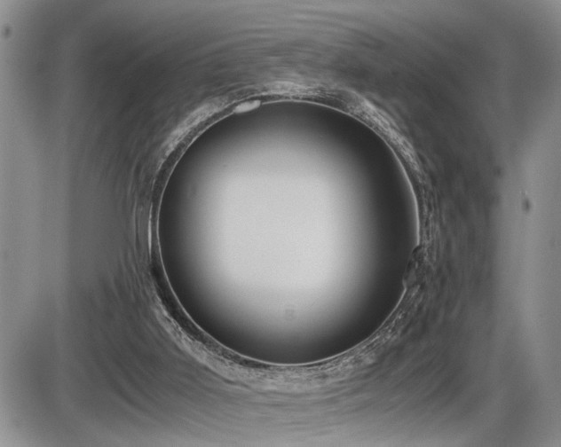 X0000086060011200703231253