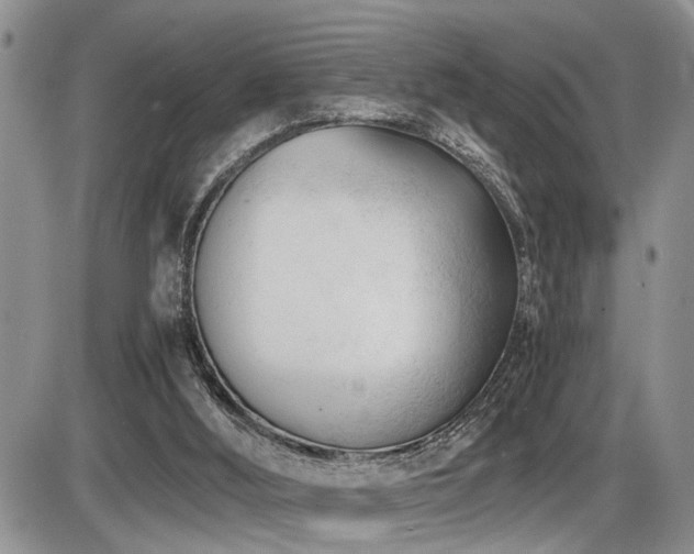 X0000086060012200703231253