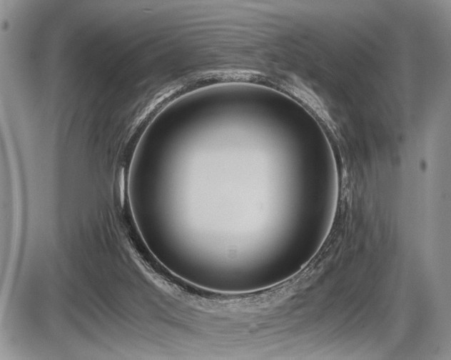 X0000086060013200703231253