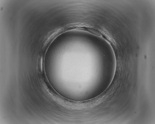 X0000086060014200703231253