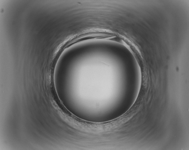 X0000086060015200703231253