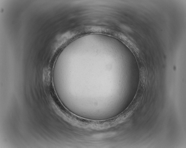 X0000086060016200703231253