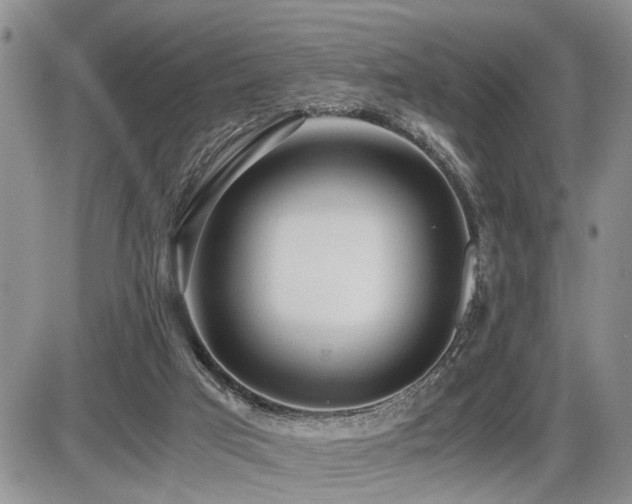 X0000086060017200703231253