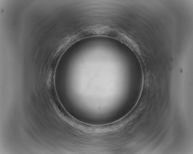 X0000086060018200703231253