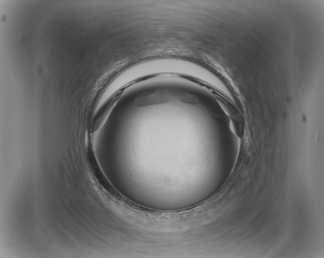 X0000086060019200703231253