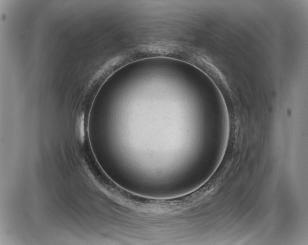 X0000086060020200703231253