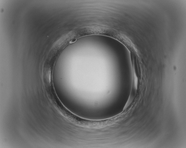 X0000086060021200703231253