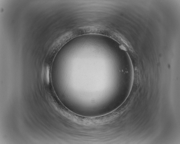 X0000086060022200703231253