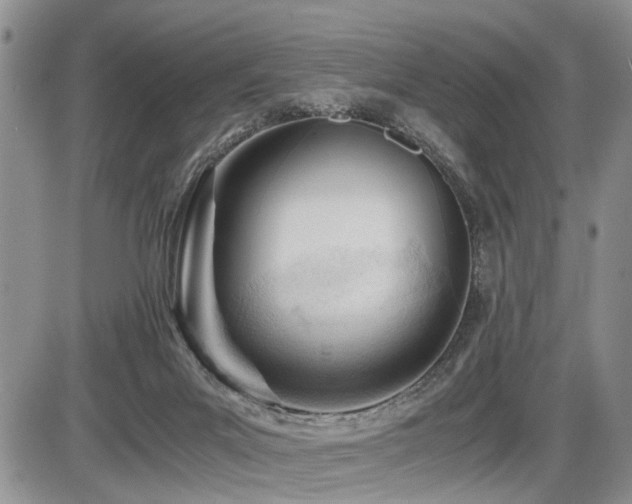 X0000086060023200703231253