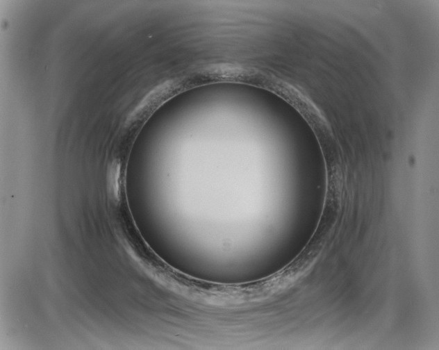 X0000086060024200703231253