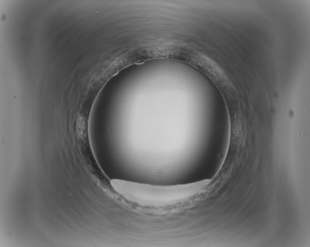 X0000086060025200703231253