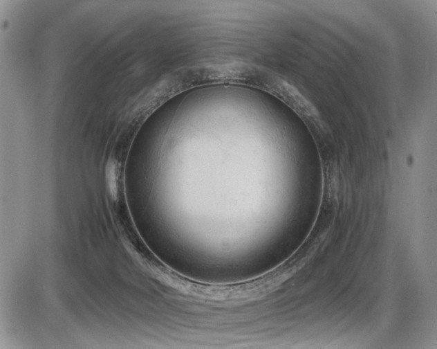 X0000086060026200703231253