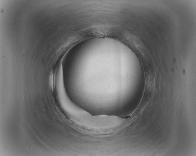 X0000086060027200703231253