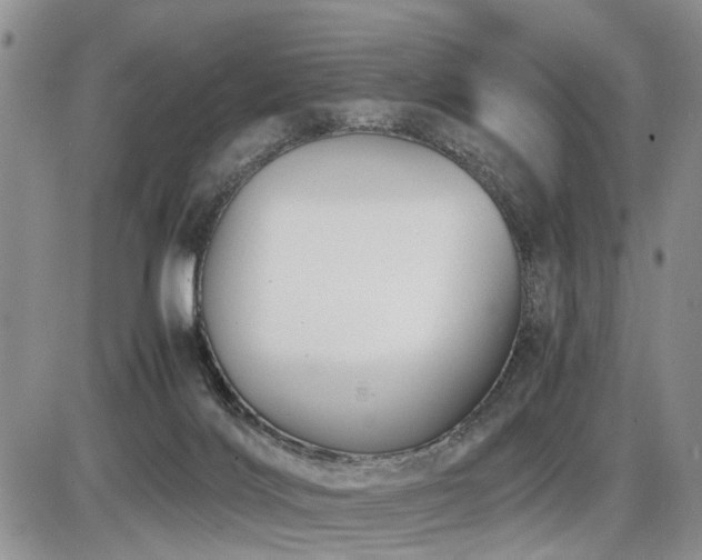 X0000086060028200703231253