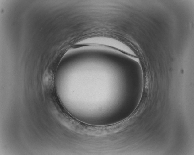 X0000086060029200703231253