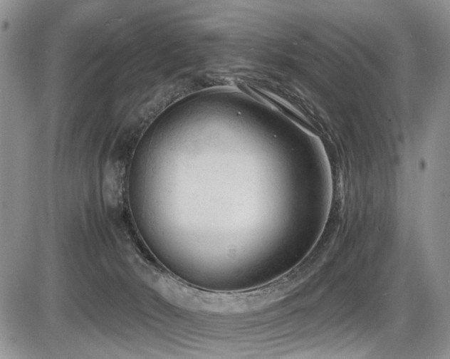 X0000086060030200703231253