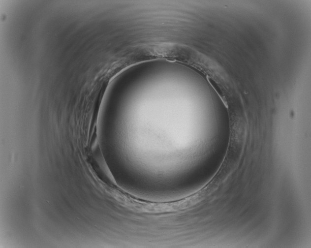 X0000086060031200703231253