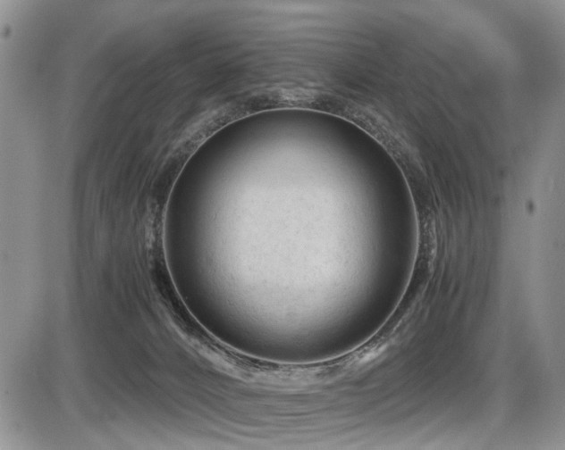 X0000086060032200703231253