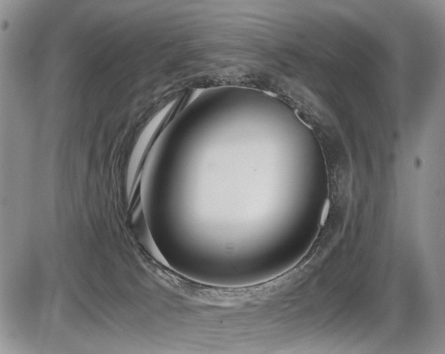 X0000086060033200703231253