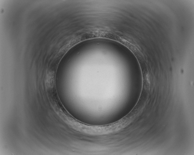 X0000086060034200703231253