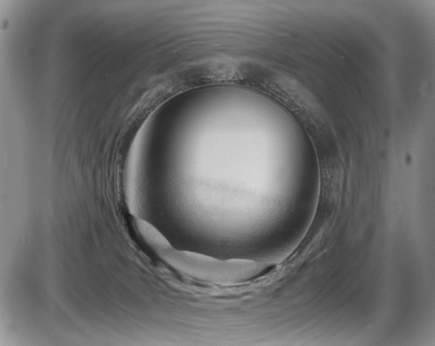 X0000086060035200703231253