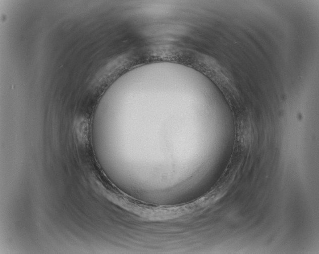 X0000086060036200703231253