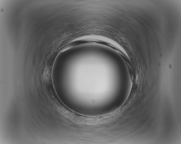 X0000086060037200703231253