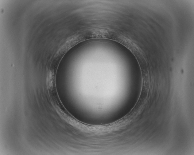 X0000086060038200703231253