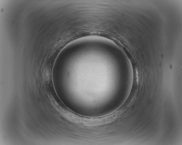 X0000086060039200703231253