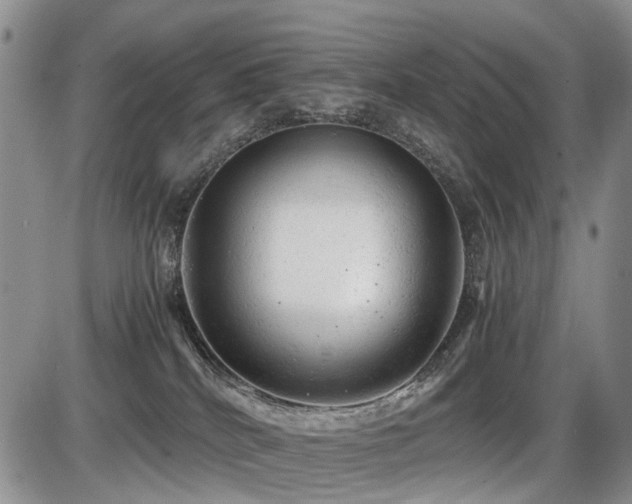 X0000086060040200703231253