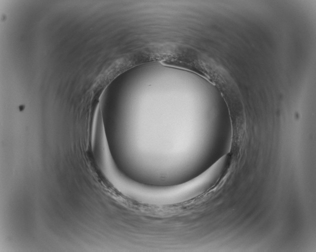 X0000086060041200703231253