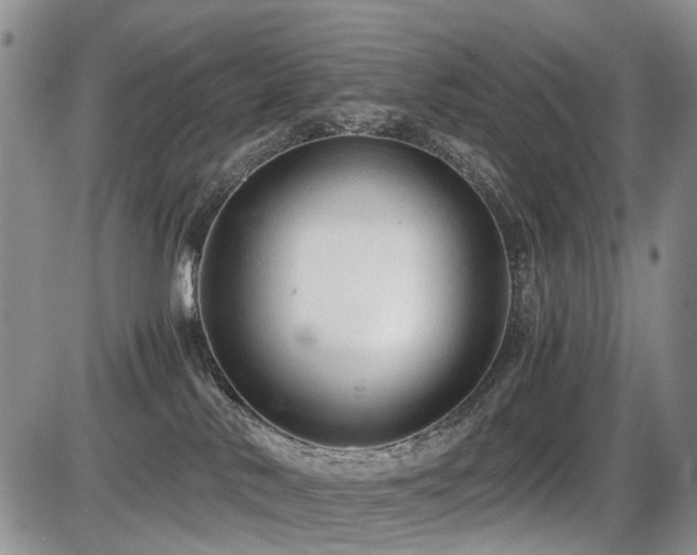 X0000086060042200703231253